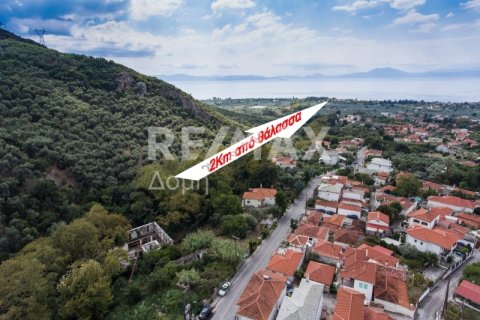 8166m² Land in Magnesia, Greece No. 24252 13