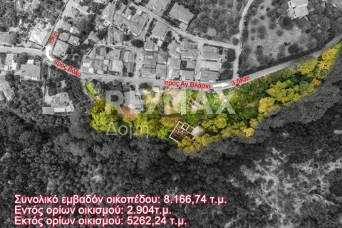 8166m² Land in Magnesia, Greece No. 24252 11