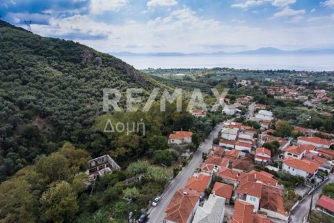 8166m² Land in Magnesia, Greece No. 24252 12