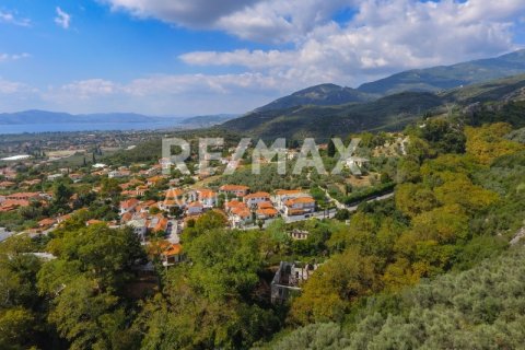 8166m² Land in Magnesia, Greece No. 24252 17