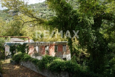 8166m² Land in Magnesia, Greece No. 24252 21