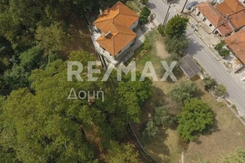 8166m² Land in Magnesia, Greece No. 24252 6