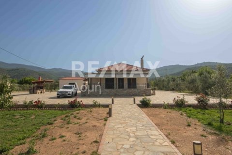 5 bedrooms House in Koropi, Greece No. 24253 21