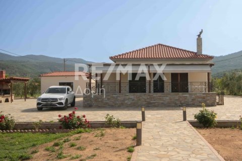 5 bedrooms House in Koropi, Greece No. 24253 22