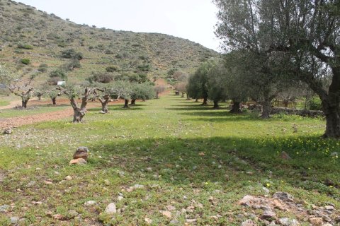 5000m² Land à Agios Nikolaos, Greece No. 57391 4