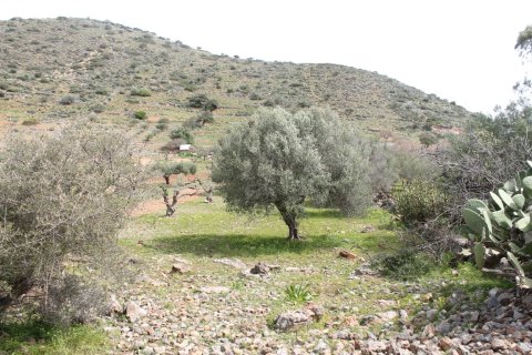 5000m² Land in Agios Nikolaos, Greece No. 57391 3