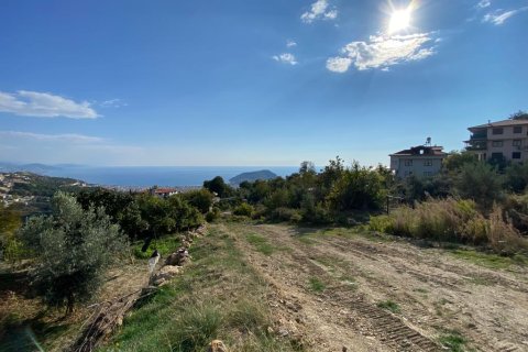 3 rooms Land à Tepe, Turkey No. 12753 3