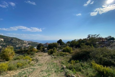 3 rooms Land à Tepe, Turkey No. 12753 1