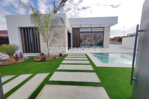 3 bedrooms Villa in Rojales, Spain No. 27654 16