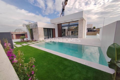 3 bedrooms Villa in Rojales, Spain No. 27654 4