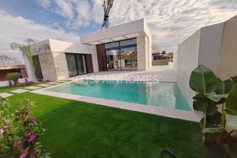 3 bedrooms Villa in Rojales, Spain No. 27654 2