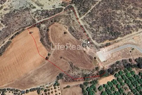 14047m² Land in Kissonerga, Cyprus No. 41481 1