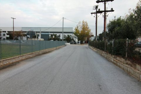 17000m² Business in Thessaloniki, Greece No. 59293 7