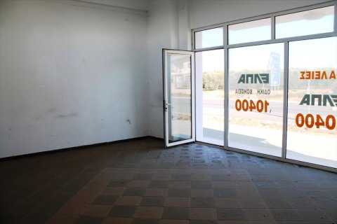 Готовый бизнес 700м² в Халкидики, Греция №59288 3