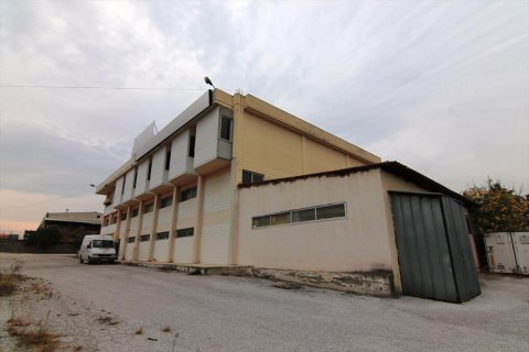 1450m² Negocio en Oraiokastro, Greece No. 59322 1