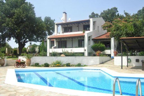 5 bedrooms Maisonette in Polydendri, Greece No. 59325 5