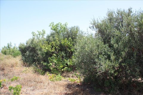 540m² Land en Chania, Greece No. 57998 3