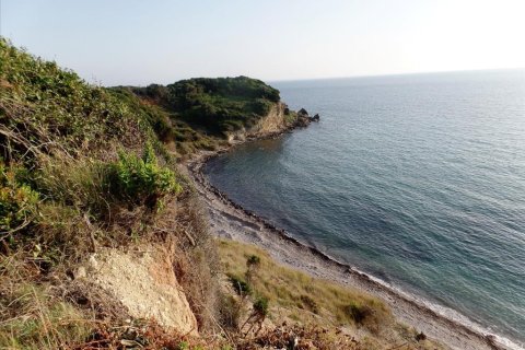 6409m² Land in Corfu, Greece No. 58002 1