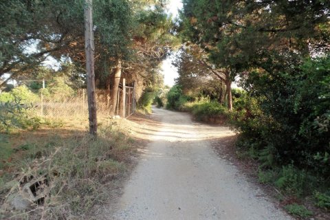 6409m² Land en Corfu, Greece No. 58002 6