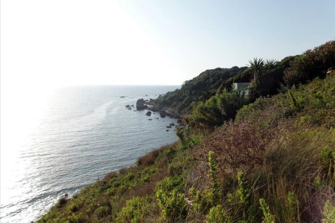 6409m² Land in Corfu, Greece No. 58002 2