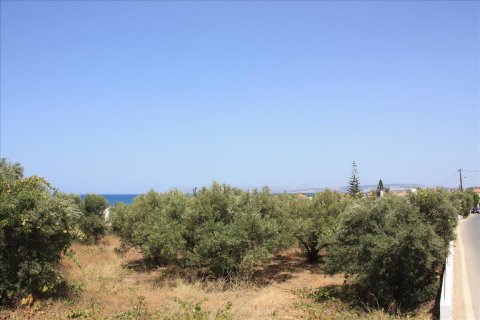 1080m² Land in Chania, Greece No. 58000 4