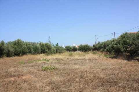 1620m² Land in Chania, Greece No. 58001 2