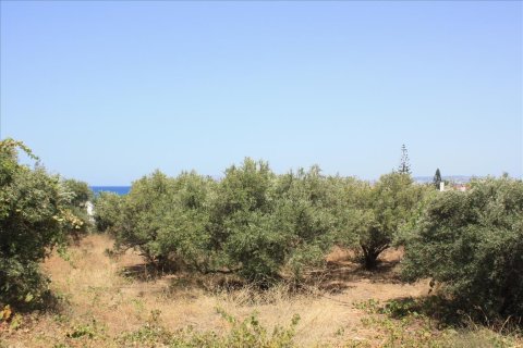 1620m² Land in Chania, Greece No. 58001 1