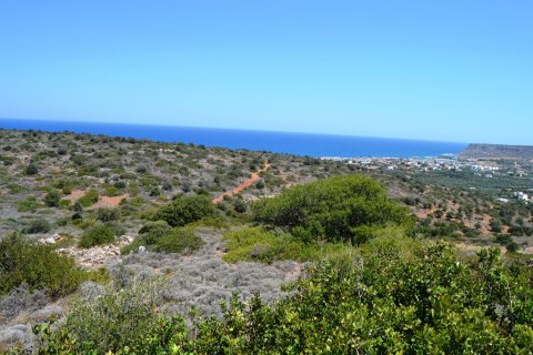 13000m² Land en Lasithi, Greece No. 57997 2