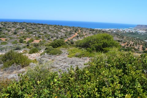 13000m² Land in Lasithi, Greece No. 57997 4