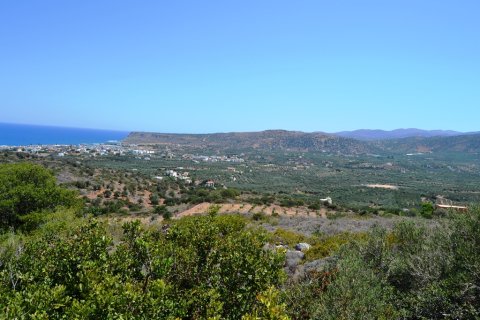 13000m² Land à Lasithi, Greece No. 57997 3