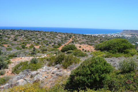 13000m² Land à Lasithi, Greece No. 57997 5