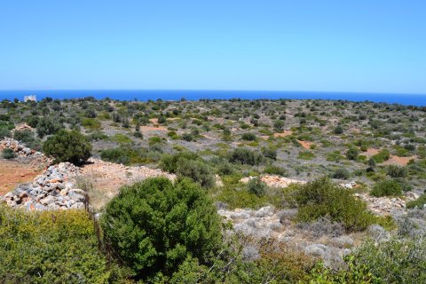 13000m² Land en Lasithi, Greece No. 57997 1