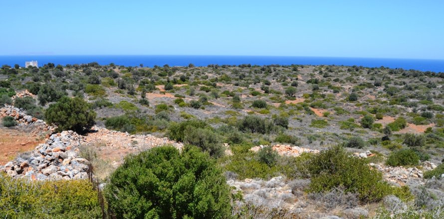 13000m² Land en Lasithi, Greece No. 57997