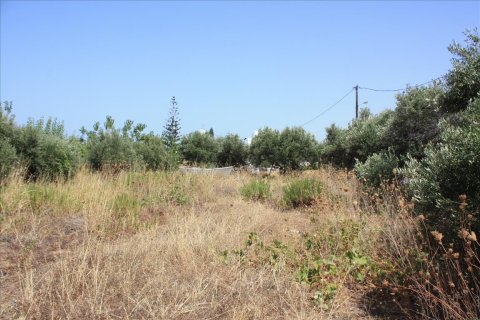 540m² Land in Chania, Greece No. 57999 2