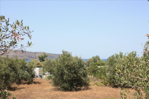 540m² Land à Chania, Greece No. 57999 4