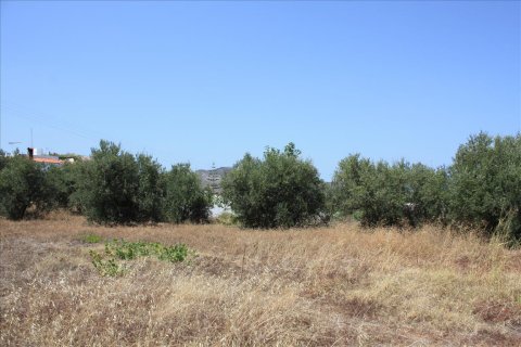 540m² Land in Chania, Greece No. 57999 3