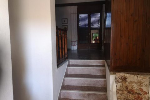 3 chambres Townhouse à Chalkidiki, Greece No. 51006 8