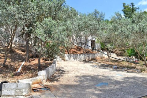 400m² Commercial property in Peloponnese, Greece No. 49365 7