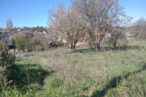 2500m² Land en Chortiatis, Greece No. 56058 4