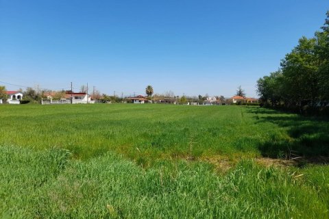 8250m² Land en Chalkidiki, Greece No. 56051 1