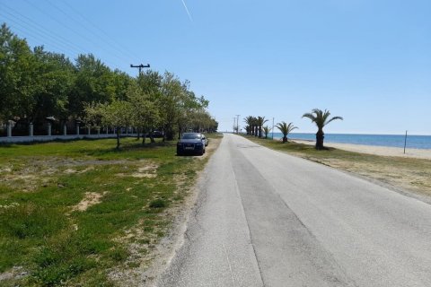 8250m² Land in Chalkidiki, Greece No. 56051 4