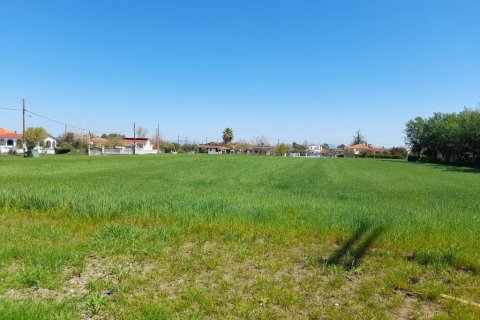 8250m² Land in Chalkidiki, Greece No. 56051 2