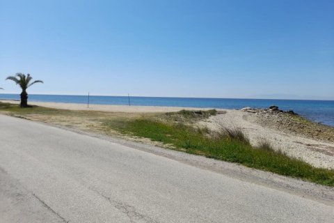 8250m² Land à Chalkidiki, Greece No. 56051 5