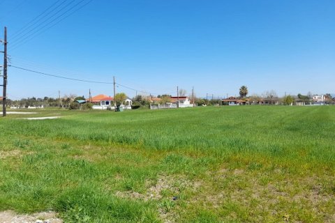 8250m² Land à Chalkidiki, Greece No. 56051 3