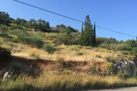 Land in Zakynthos, Greece No. 69578 9