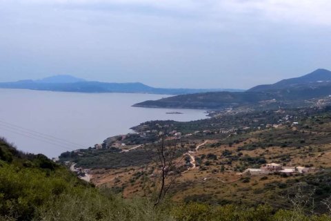 Land in Zakynthos, Greece No. 69578 4