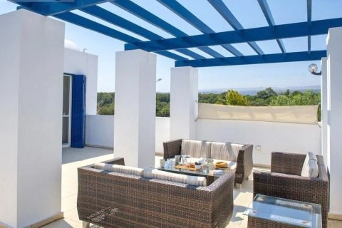 3 bedrooms Villa in Paphos, Cyprus No. 73255 17