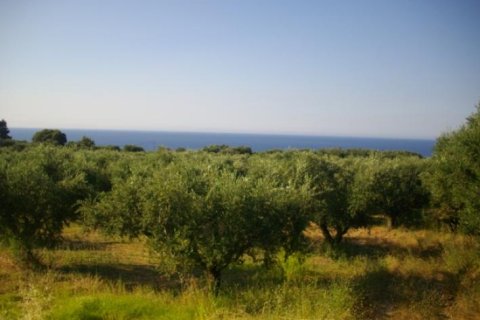 Land in Zakynthos, Greece No. 24770 1