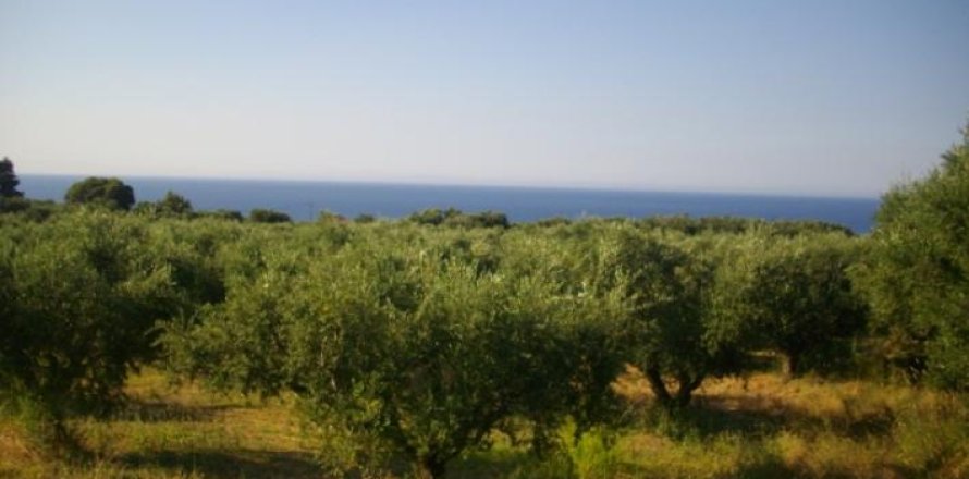 Land in Zakynthos, Greece No. 24770