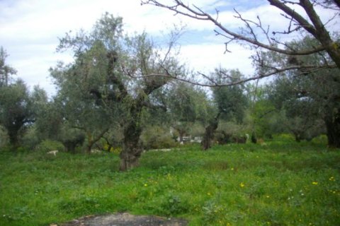 Land in Zakynthos, Greece No. 24770 4